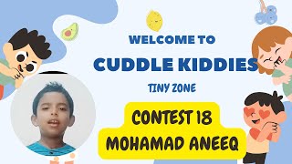 Tinyzone contest 18 MOHAMED ANEEQ [upl. by Nidak]