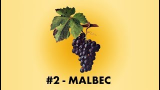 Cépage Sorcier 2  Le Malbec  English Sub [upl. by Suhpesoj333]