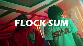 FREE Sha Gz x Sdot Go x Sample Jerk Drill Type Beat  quotFLOCK SUMquot NY Drill Instrumental 2024 [upl. by Thornie694]