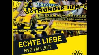 Wir sind Freunde  Echte Liebe  Mein BVB Bandversion [upl. by Attah]