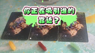 【塔羅牌占卜】你正在吸引誰的靠近？ [upl. by Montagu]