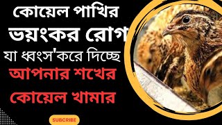 ভয়ংকর ২টা রোগযা শেষ করে দিবে আপনার কোয়েল খামার❎koel pakhir voro dhoroner 2ta rog ki ki🤔🤔 [upl. by Ching]