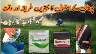 Best method to get the result of potash  which potash is best for wheat  foliar potash on wheat [upl. by Shepley]