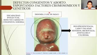 EMBRIOLOGÍA GAMETOGÉNESIS CONVERSIÓN DE CÉLULAS GERMINALES EN GAMETOS MASCULINOS Y FEMENINOS [upl. by Icak]