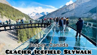 Columbia Icefield skywalk Glacier Icefield skywalk jasper skywalk skywalk jasper national park [upl. by Naibaf]