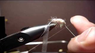 Sow Bug  Quick Tying Instruction  Provo River Killer Pattern [upl. by West]