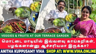 மொட்டை மாடியில் இவ்வளவு காய்கறிகள் பழங்கள் இருக்கா  Anitha Kuppusamy Terrace Garden Vlog [upl. by Nnylyma]