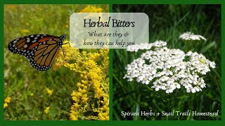 Herbal Bitters  What are you they amp how can they help you [upl. by Hairom181]