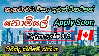 කැනඩා වීසා ගුවන් ටිකට්පත් 2 ම නොමිලේ 🇨🇦පිරිසිදු කිරීමේ රැකියා cleaning foreign job vacancies Canada [upl. by Ahsyekal]