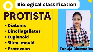 Biological Classification  Protista  DiatomsDinoflagellatesEuglenoidSlime mouldProtozoan NEET [upl. by Aylward]