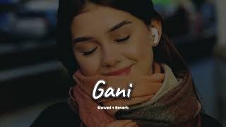 Gani slowed  reverb Akhil  new Punjabi song 2024  KL Lofi [upl. by Annia]