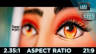 Aspect Ratio  AppleProRes en Premiere [upl. by Delsman]