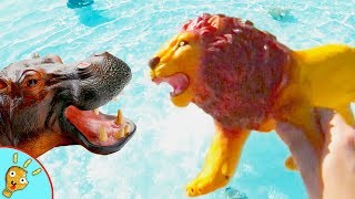 HIPPO Jungle Animals Learn Animal Names with Toys for Kids by Squishee Nugget [upl. by Anyak]