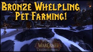 Bronze Whelpling Farming Guide [upl. by Combes765]