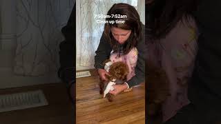 Morning Routine after puppy gets spayed ❤️‍🩹 w timestamps 🐾😢 [upl. by Norihs]