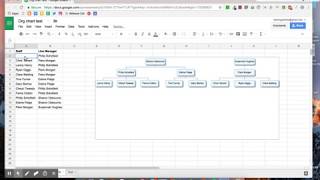 Creating easy organisational charts in Google Sheets [upl. by Odelinda]