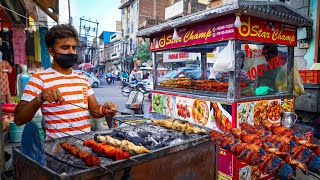 BADSHAH of SOYA CHAAP  D Star Malai Chaap  Tandoori Masala Chaap  Street Food India [upl. by Haroppiz886]