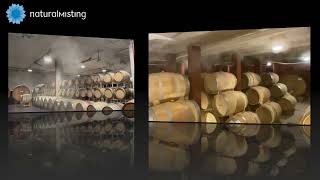 UMIDIFICAZIONE PER CANTINE VINICOLE NATURAL MISTING [upl. by Ardene]