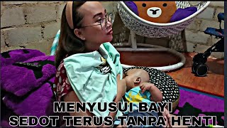 Vlog 242 menyusui bayi gundul disedot terus tanpa henti 😅 [upl. by Anieral]