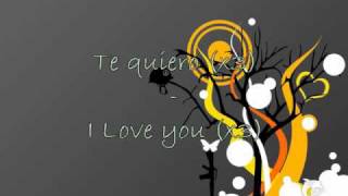 Stromae  Te Quiero  Lyrics on screen French  English [upl. by Leaj239]