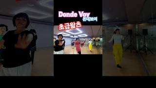 Donde Voy Beginner Waltz linedance 돈데보이 초급왈츠 DondeVoy 아름다운왈츠 dance 킴스라인댄스협회 [upl. by Oludoet883]