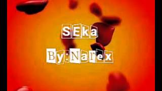 Seka ByNarex with lyrics [upl. by Sweeney897]