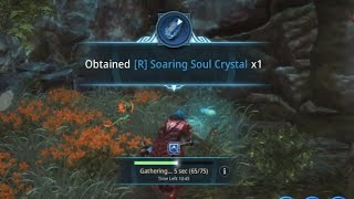 mir4 Search Obtained R Soaring Soul Crystal x1 [upl. by Ariek905]