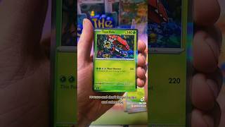 Bewear pokemon cards tcg pokemontcg packoftheday packopening shroudedfable [upl. by Keane]