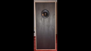 Visaton B 200 Open buffle speakers free [upl. by Chem306]