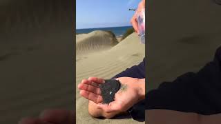 You Wont Believe What Happens When He Puts a Magnet Over This Sand 😮 [upl. by Anitel546]