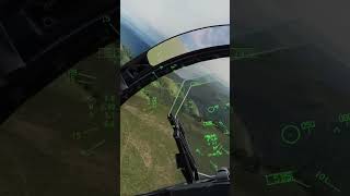 dcs FLANKER NO FLANKING [upl. by Nickola1]