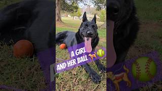 Just a girl and her ball 😊 blackgermanshepherd germanshepherd subscribe dog calming gsd like [upl. by Jonathan]