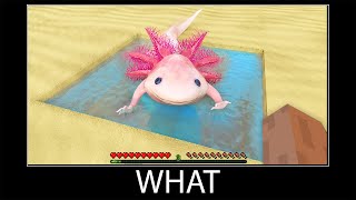 Minecraft wait what meme part 361 realistic minecraft axolotl [upl. by Nomyar]