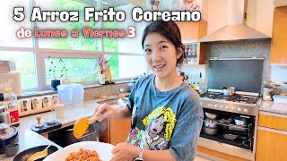 5 Arroz Frito Coreano Para la Toda la SemanaㅣDe Lunes a Viernes 3 [upl. by Tcideneb329]