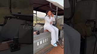 Game Drive  BABOHI at QWABI Private Game Reserve [upl. by Nidnarb]