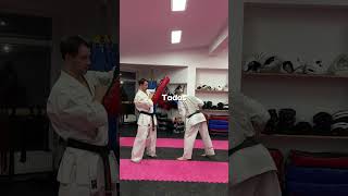 Do mawashi kaiten geri shorts [upl. by Wilmer]