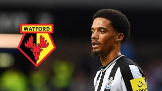 Jamal Lewis signs for Watford [upl. by Yotal981]