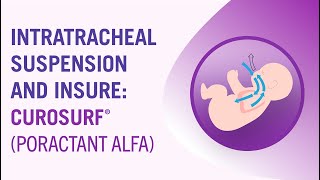 lntratracheal Suspension and INSURE CUROSURF® poractant alfa [upl. by Daas121]