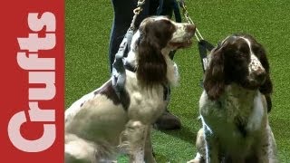 CaniCross Start  Crufts 2012 [upl. by Philippine]