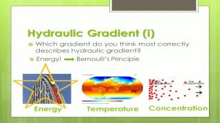 Groundwater Flow [upl. by Nnylahs]