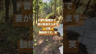 ヒグマ避け💣で駆逐される妻👩🏼‍🦰 ヒグマ 登山 キャンプ 野営 [upl. by Norehs]