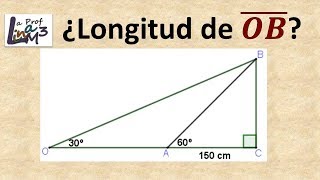 Longitud del segmento OB  Triángulo rectángulo  La Prof Lina M3 [upl. by Akinna266]