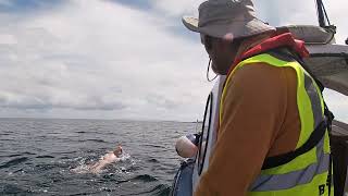 Fergal Somerville Inishmore Swim Sat 13th July 24 [upl. by Wende96]