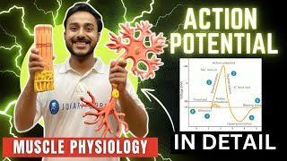 action potential physiology in hindi  ionic basis of action potential in skeletal muscle physiology [upl. by Inoliel]