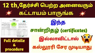 😱 2 தேர்ச்சி பெற்ற அனைவரும் கட்டாயம் பாருங்க🫢 இந்த சான்றிதழ் இல்லாவிட்டால் கல்லூரி சேர முடியாது [upl. by Thinia750]