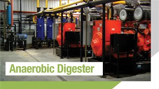 Anaerobic Digester [upl. by Wie]