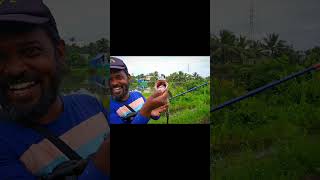 എപ്പോഴും വിഴുങ്ങിപോകുന്ന തവള 🐸🐸🐸hunterv6 boytep Tackleaddictsvlogs [upl. by Suivatco]