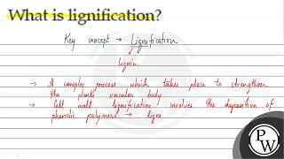 What is lignification [upl. by Faires54]