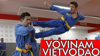 LE VOVINAM VIET VO DAO ART MARTIAL MECONNU [upl. by Vasyuta396]