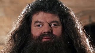 Hagrids Hut REMAKE  Harry Potter Inspired ASMR  Cozy fireplace Thunderstorm Fang and Dragon [upl. by Wagoner329]